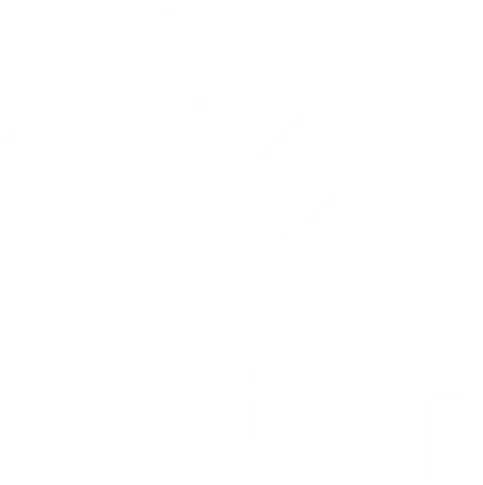 Essilor